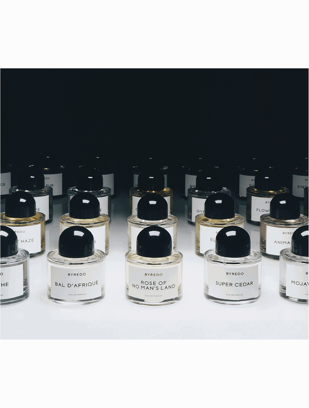 Animalique Eau de Parfum 100 ML