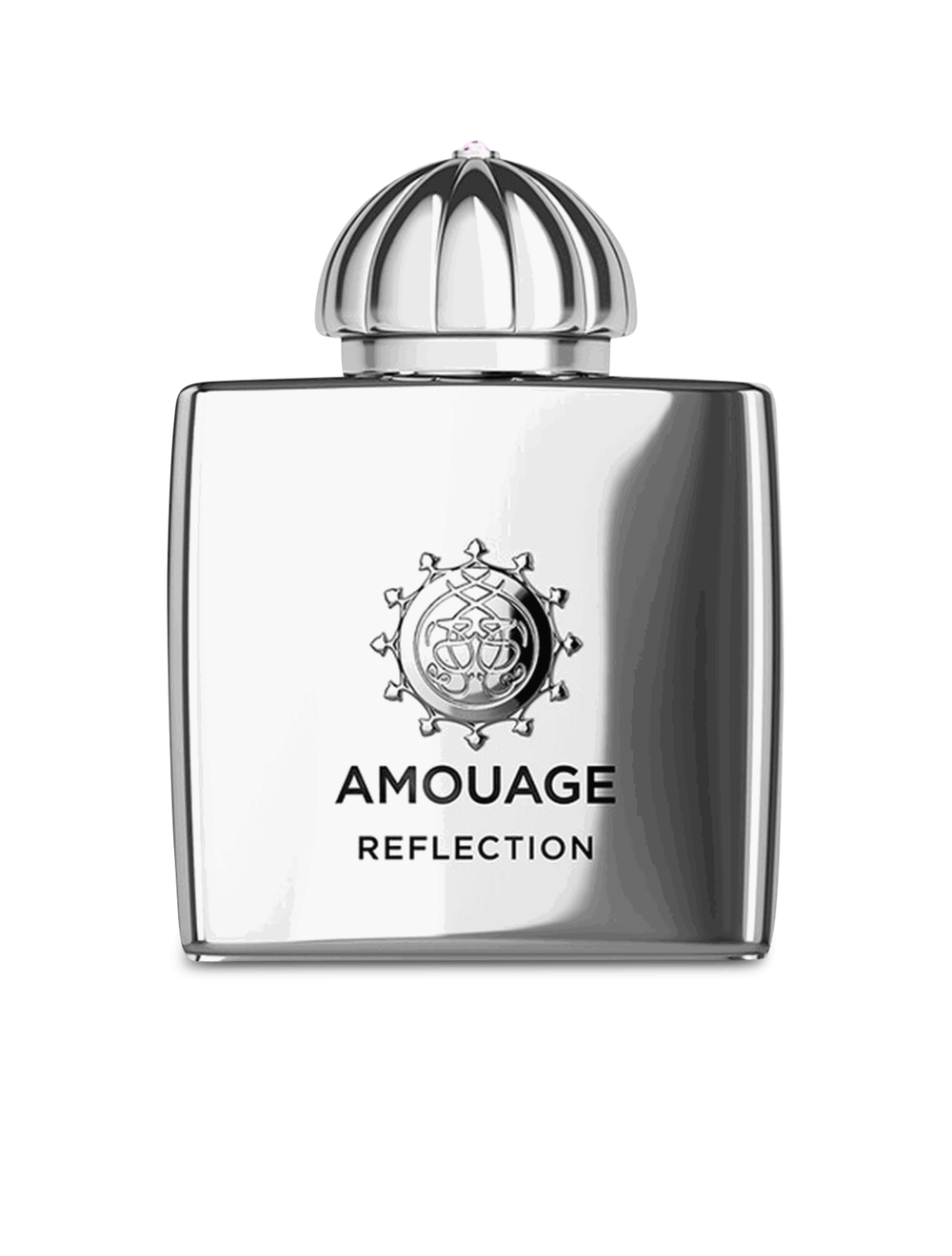 Amouage Reflection Man Eau de Parfum 100 ml