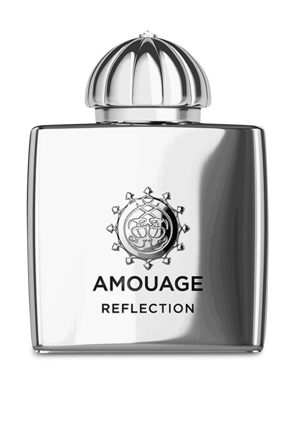 Amouage Reflection Man Eau de Parfum 100 ml