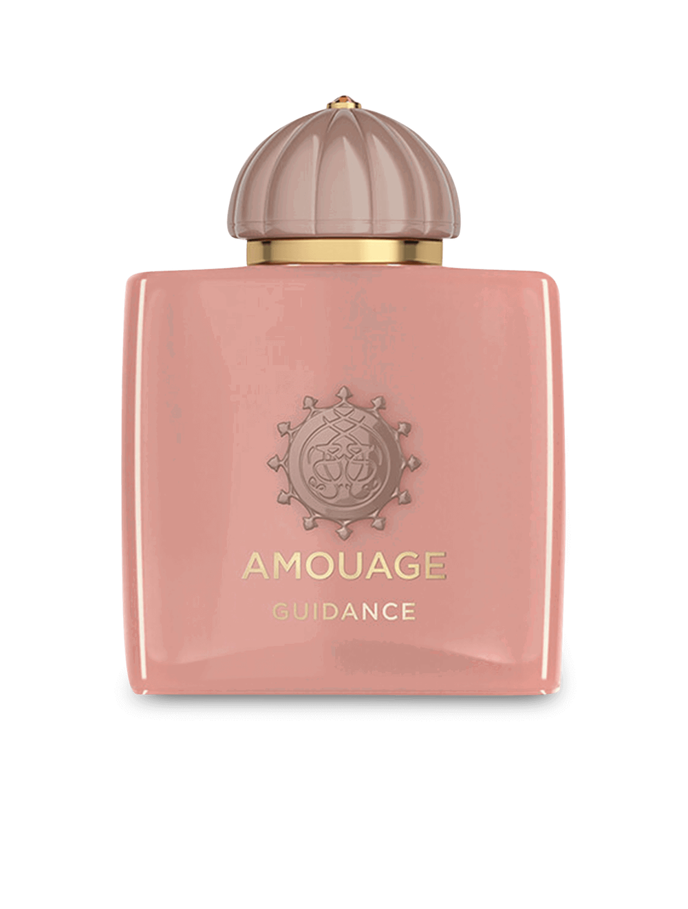 Amouage Guidance Eau de Parfum 100 ml