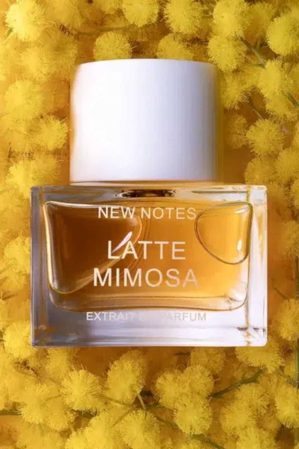 New Notes Latte Mimosa Extrait 50 ml
