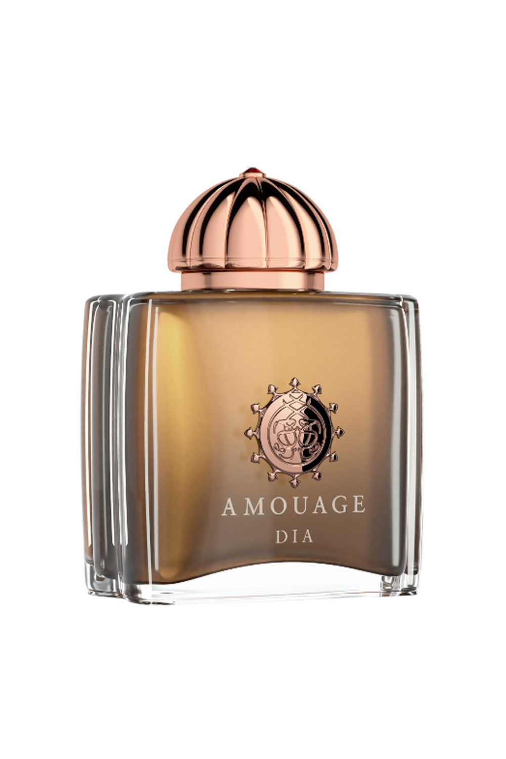AMOUAGE DIA WOMAN EDP 100ML