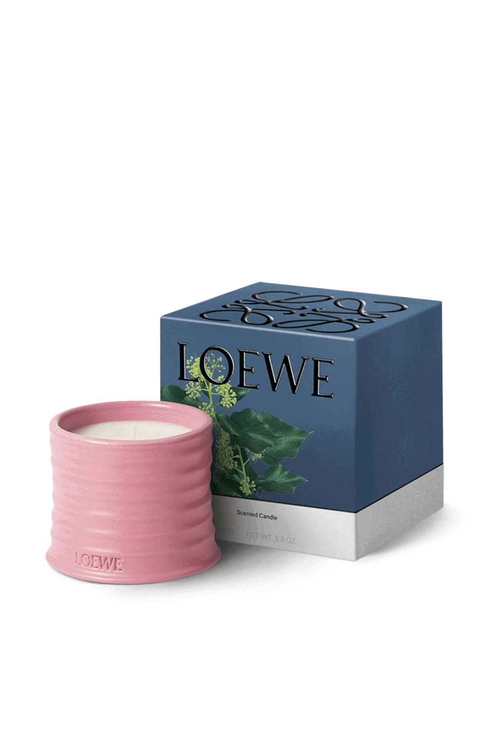 LOEWE Ivy Small Scented Candle