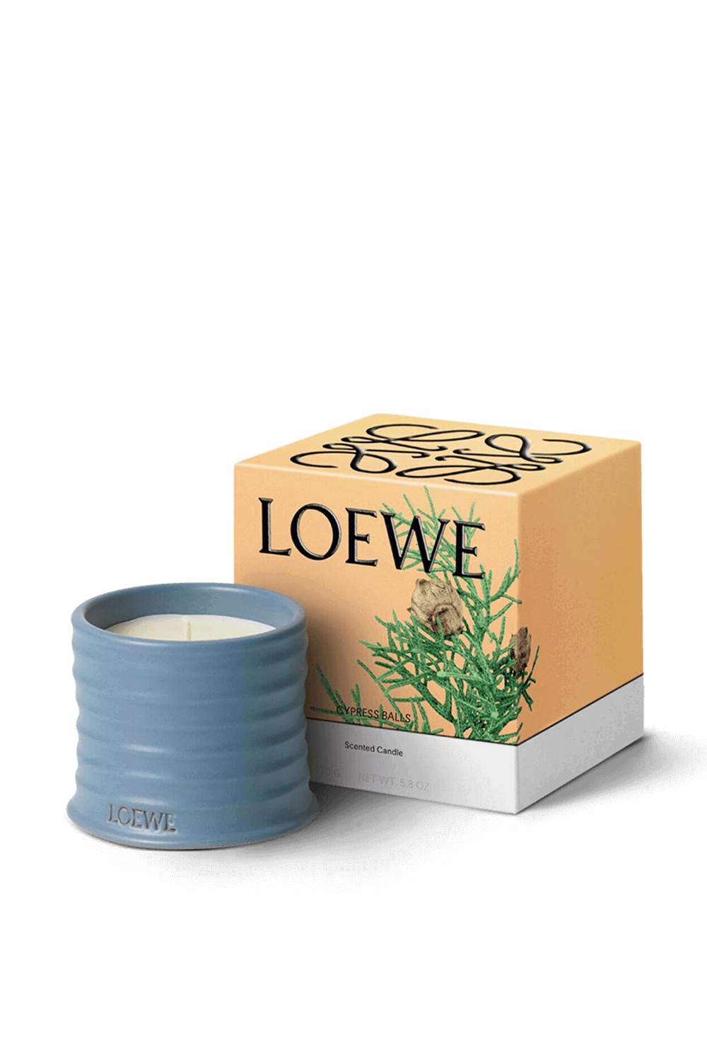 LOEWE Cypress Small Scented Candle