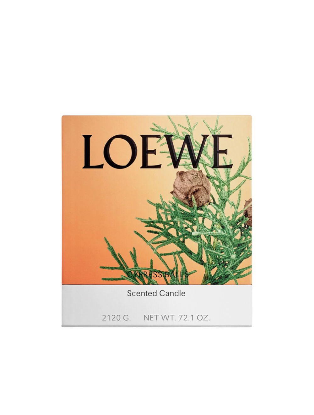 Cypress Large Scented Candle