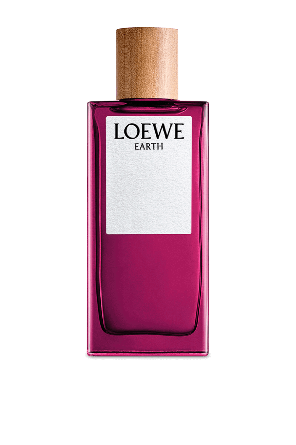 LOEWE Earth Eau de Parfum 100 ml