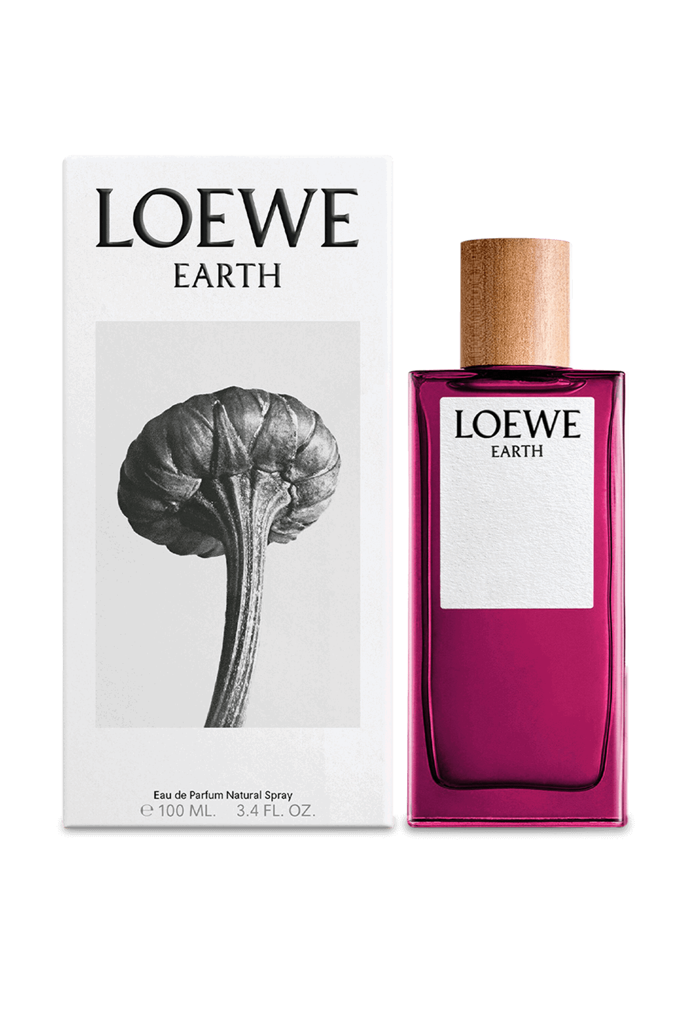 LOEWE Earth Eau de Parfum 100 ml