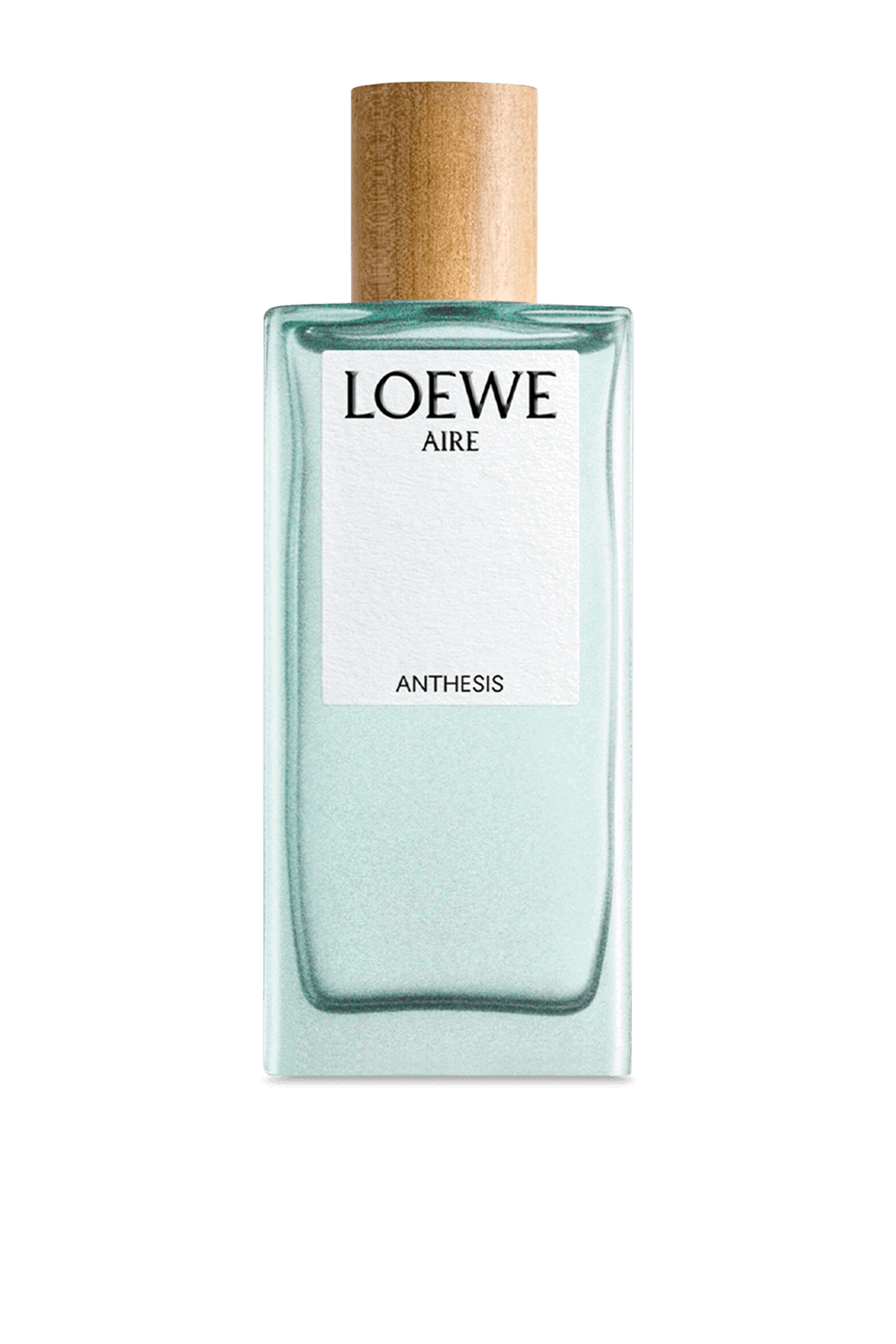 LOEWE Aire Anthesis Eau de Parfum 100 ml