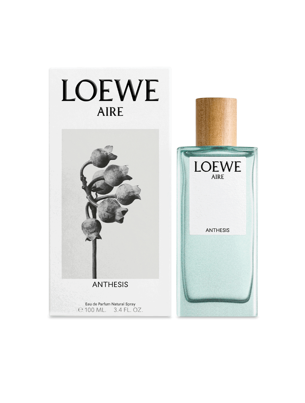 LOEWE Aire Anthesis Eau de Parfum 100 ml