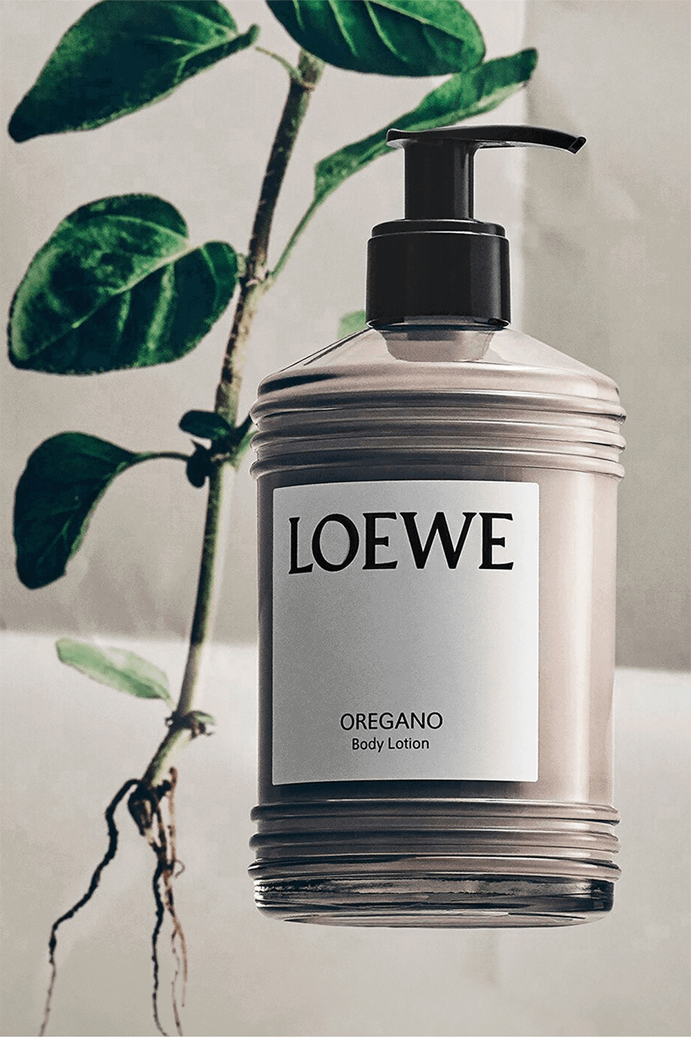Loewe Body Lotion Oregano