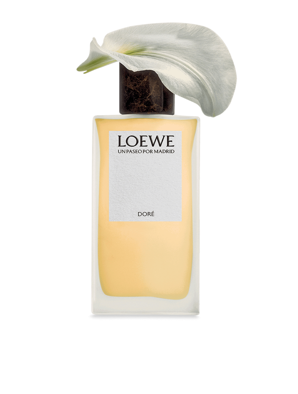 LOEWE UPPM Dore Eau de Parfum 100 ml