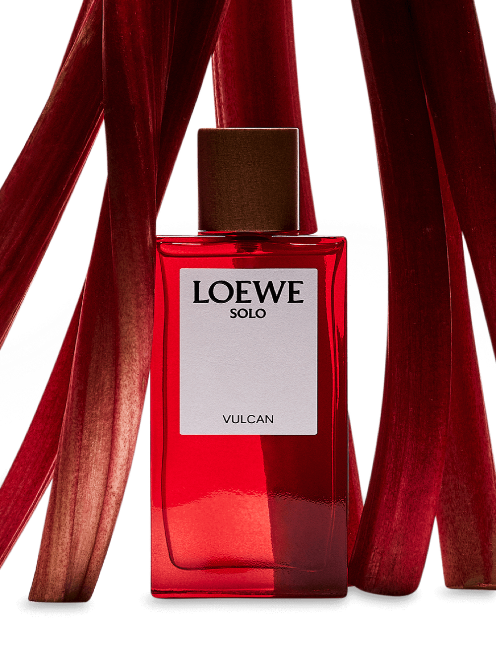 LOEWE Solo Vulcan Eau de Parfum 50 ml