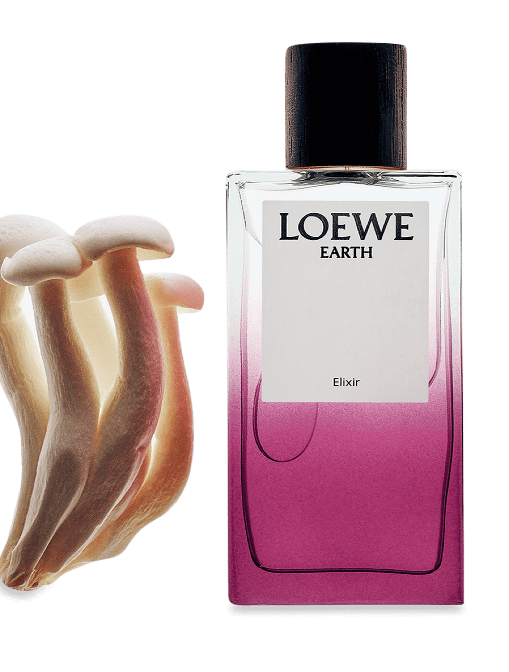 LOEWE Earth Elixir 100ml