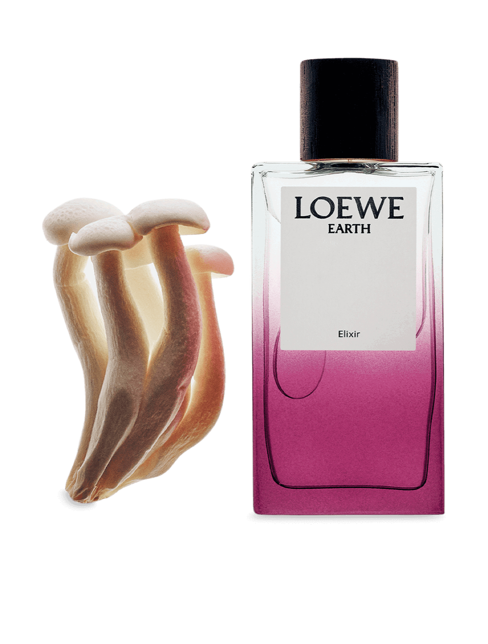 LOEWE Earth Elixir 100 ml