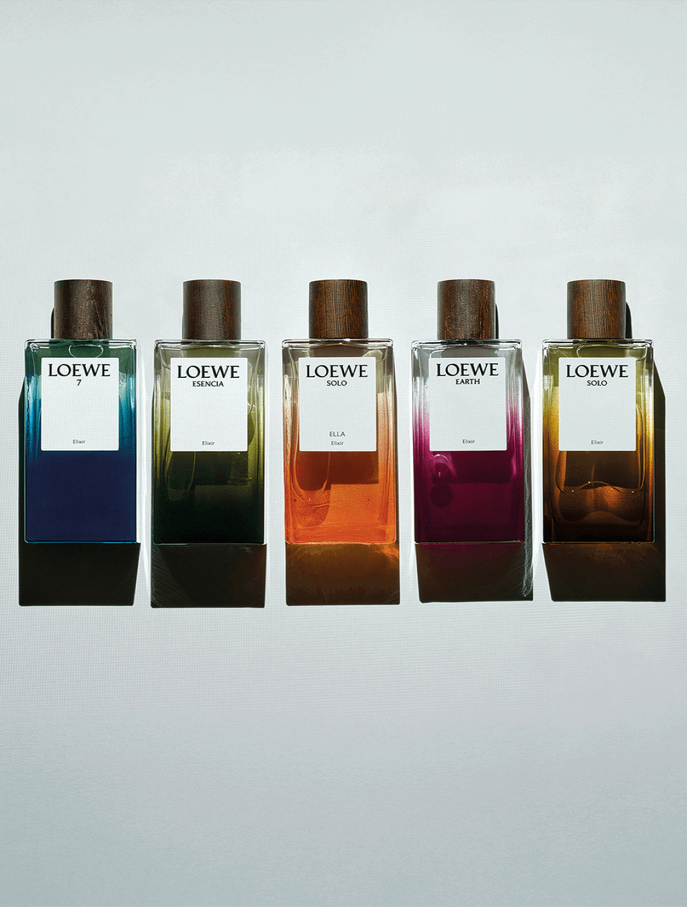 LOEWE Solo Elixir Eau de Parfum 100 ml