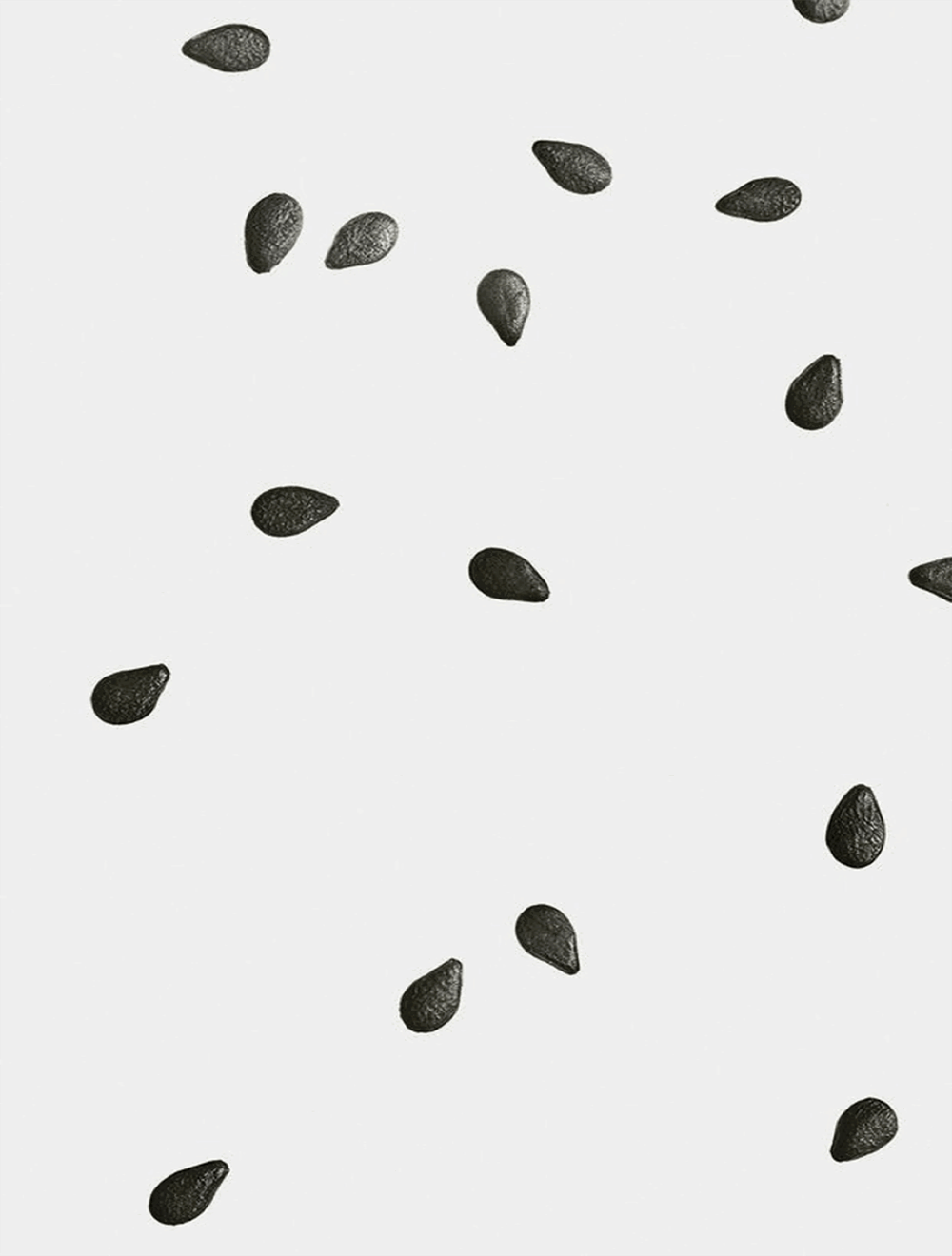Loewe Midi Black Sesame Scented Candle