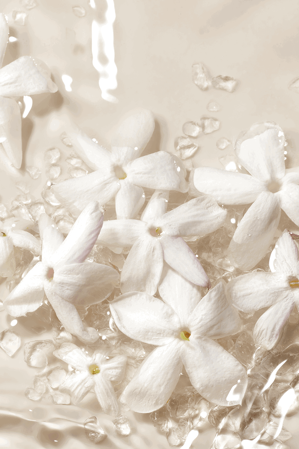 Prive Blanc Kogane Eau de Parfum 100 ml
