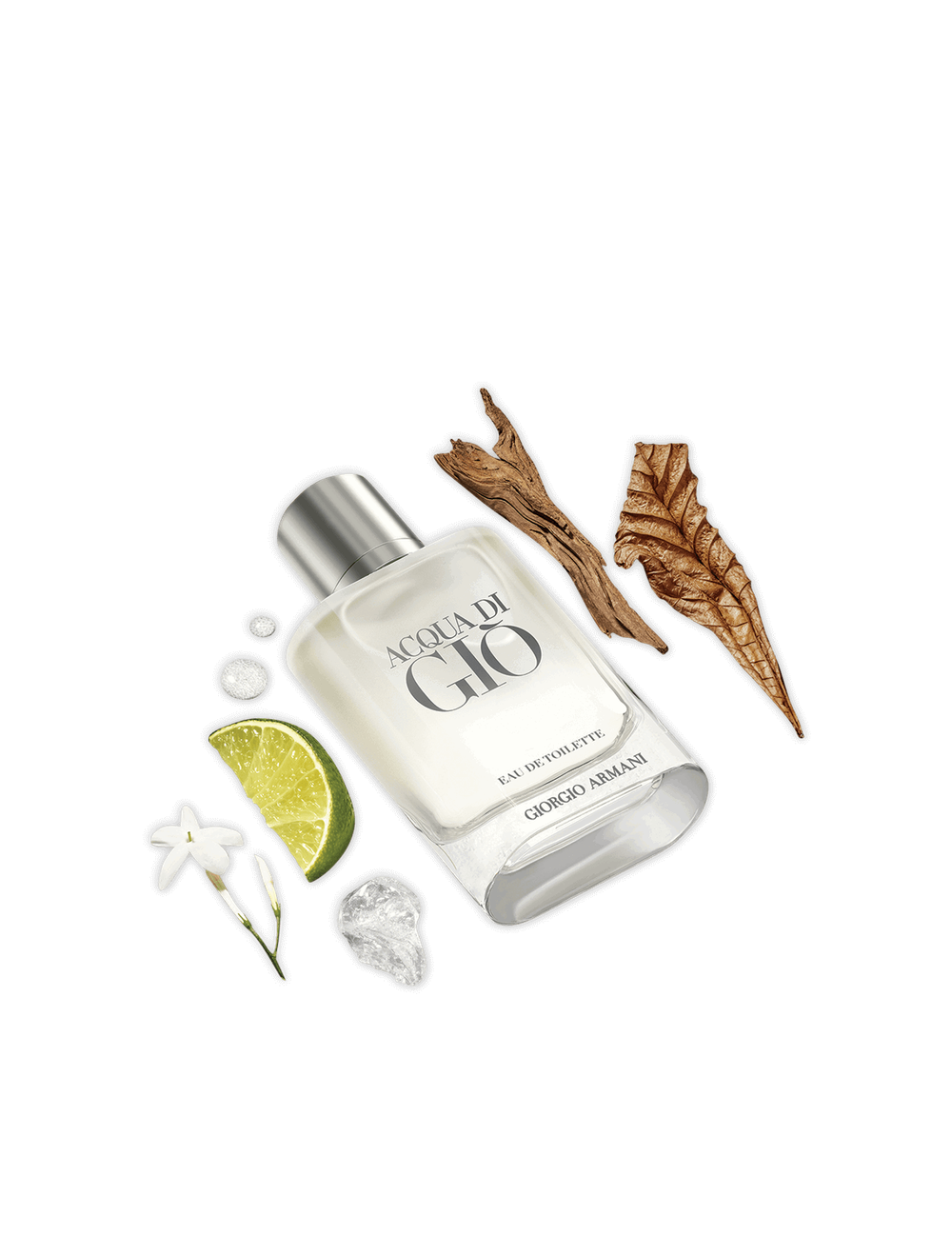 Aqua di Gio Eau de Toilette 100 ml