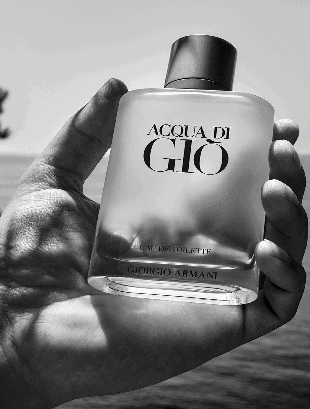 Aqua di Gio Eau de Toilette 100 ml
