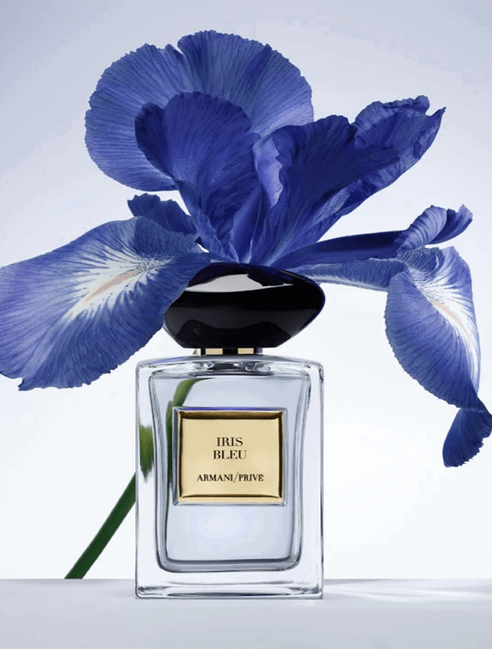 Iris Bleu Eau de Toilette V100 ml