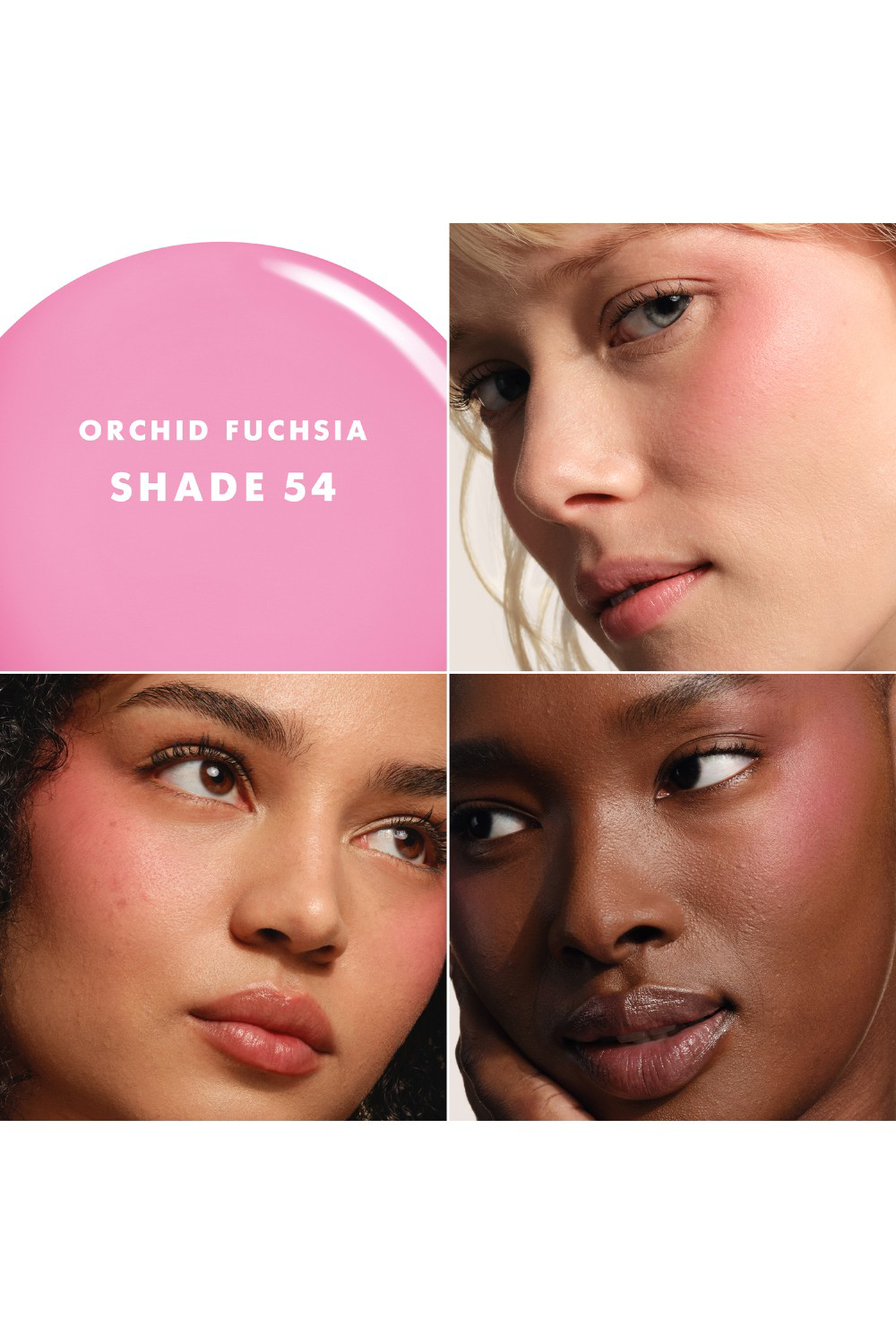 Luminous Cheek Tint Shine Shade 54