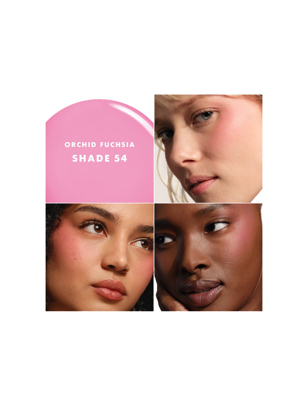 Luminous Cheek Tint Shine Shade 54