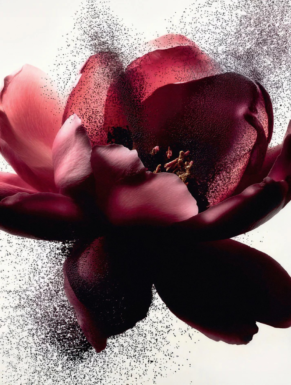 Rose Eau de Parfum 100 ml