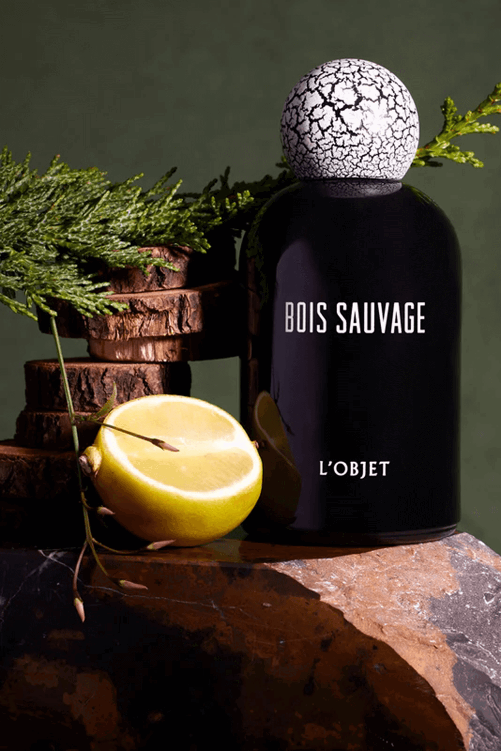 Bois Sauvage Eau de Parfum 50 ml