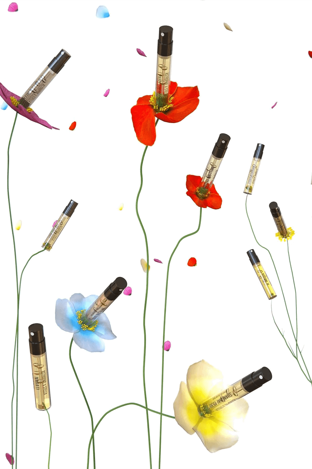Astrophil X Stella kit 14 x 2 ml