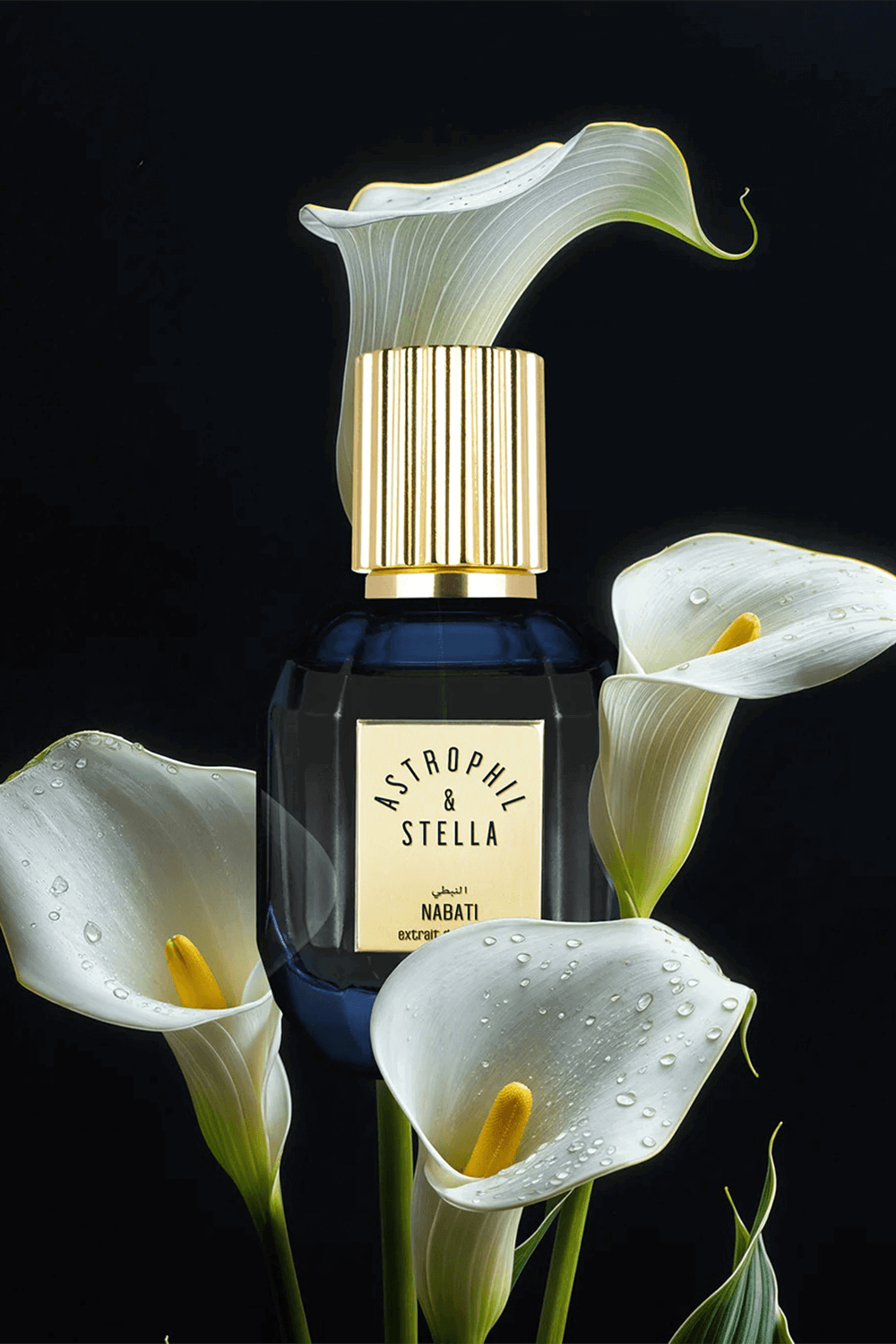 Nabati Ex. Parfum 50 ml Astrophil X Stella