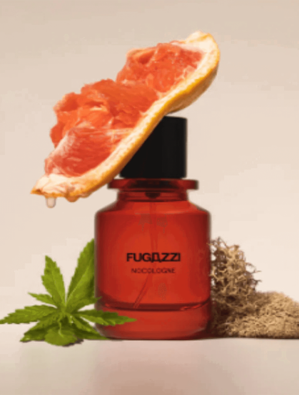 Fugazzi Nocologne 100 ml
