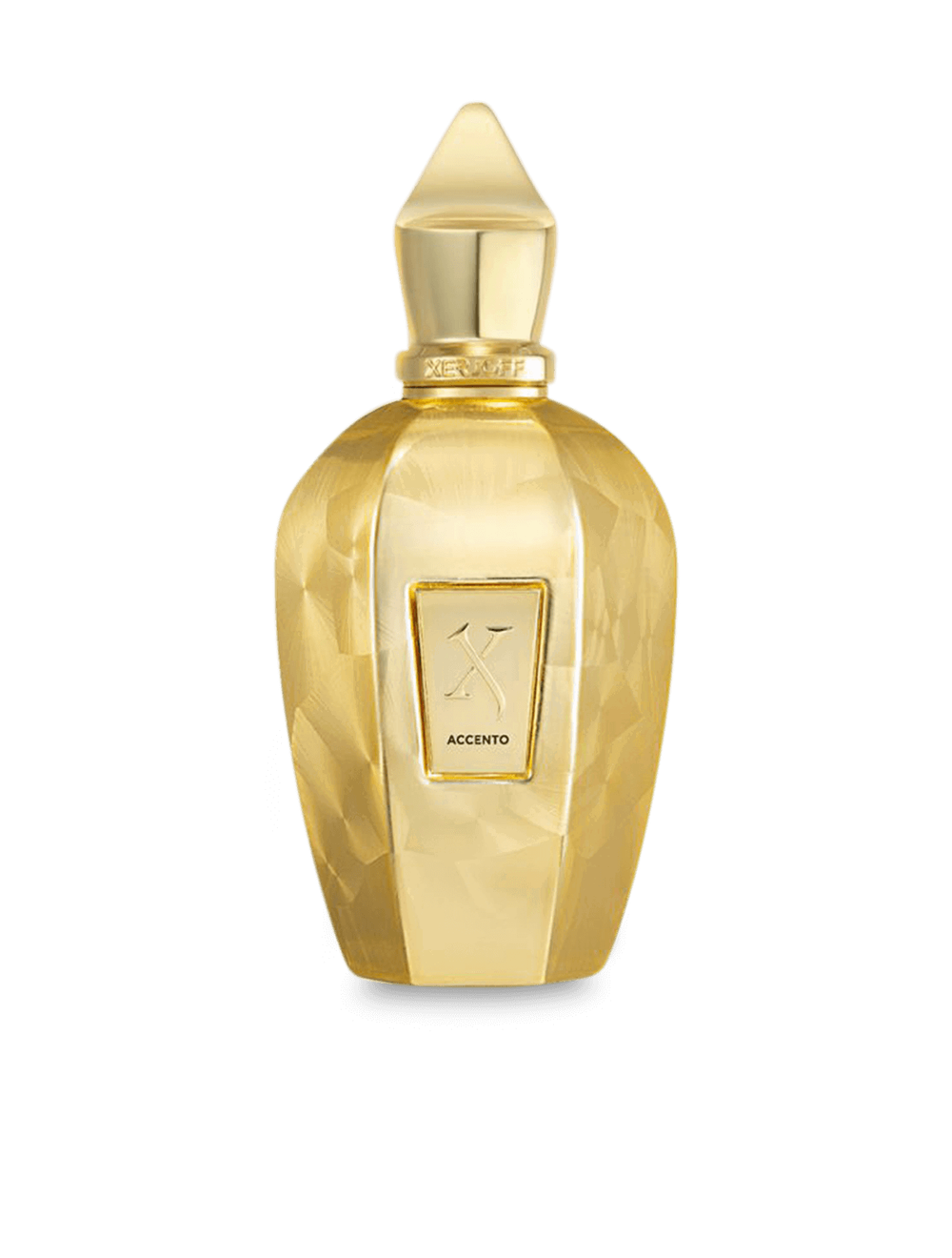 Xerjoff Accento Overdose Eau de Parfum 100 ml