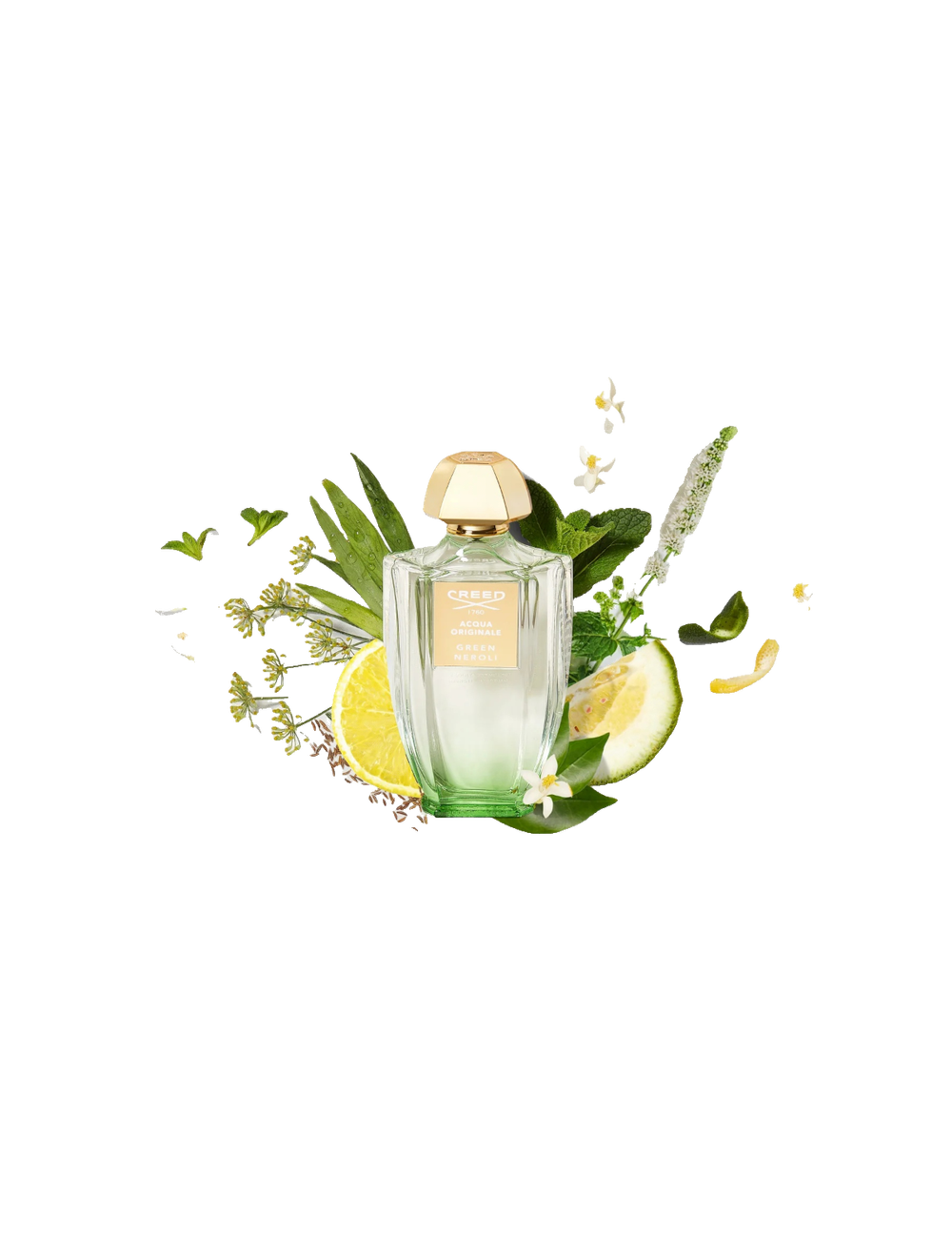 Creed Aqua Original Green Neroli 100 ml