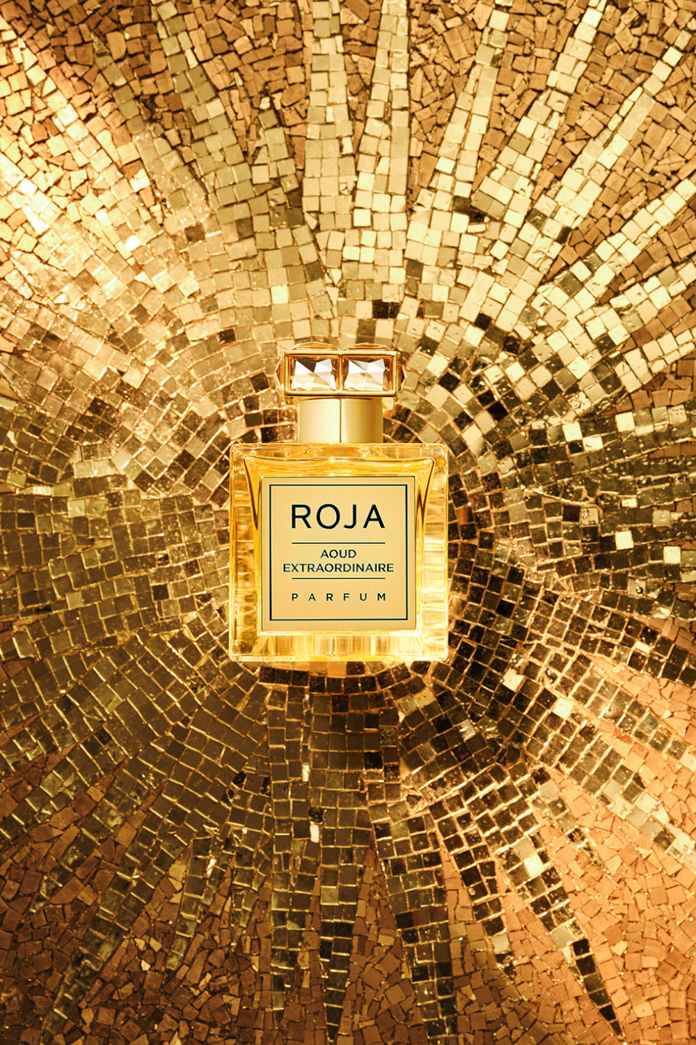 Aoud Extraordinaire Parfum 100 ml