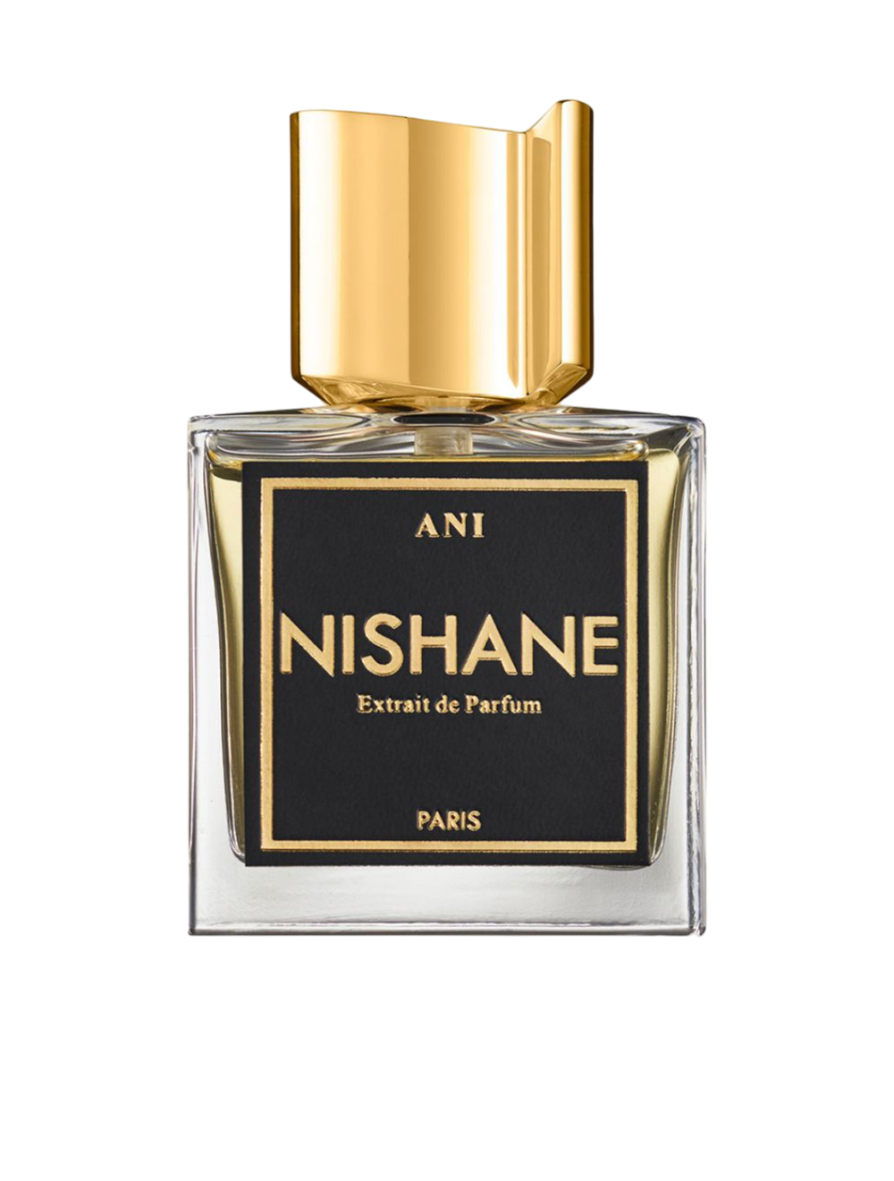 Ani Extrait de Parfum 100 ml