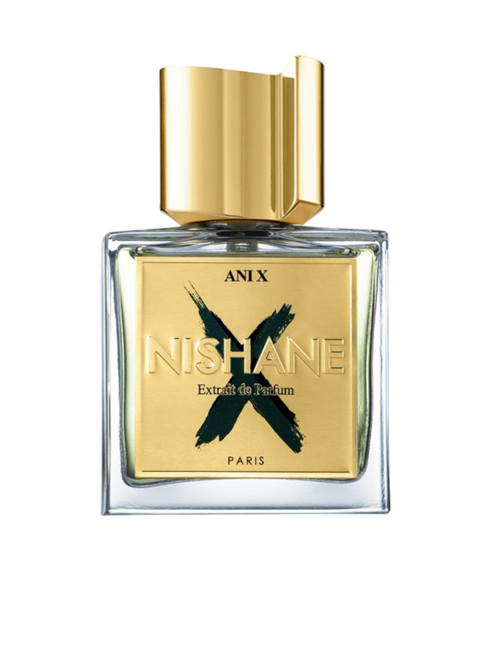 Ani X Edp 100 ml