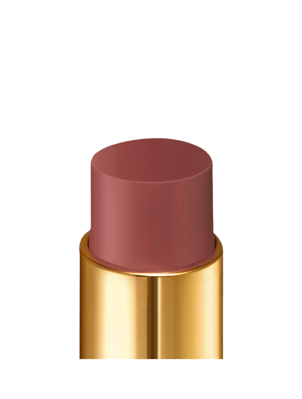 LIP STYLO MATTE 100