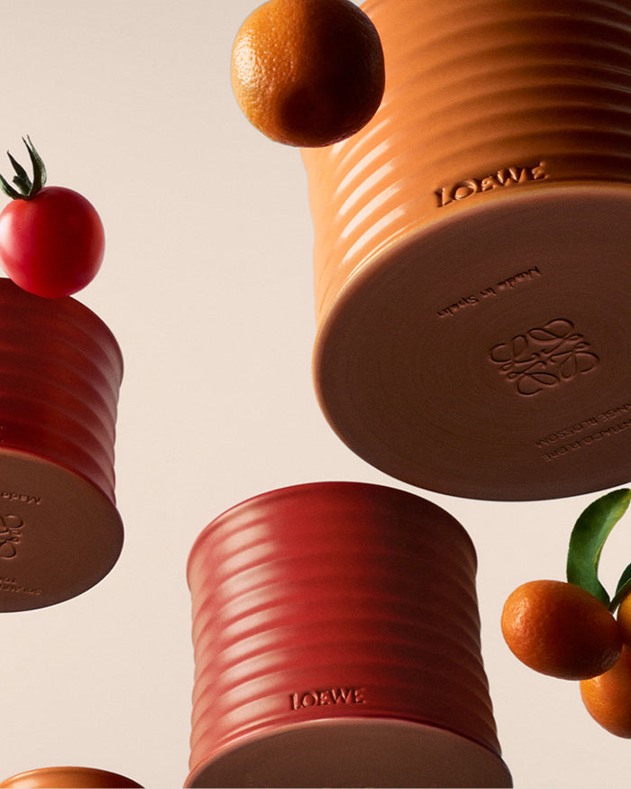 Loewe Perfumes