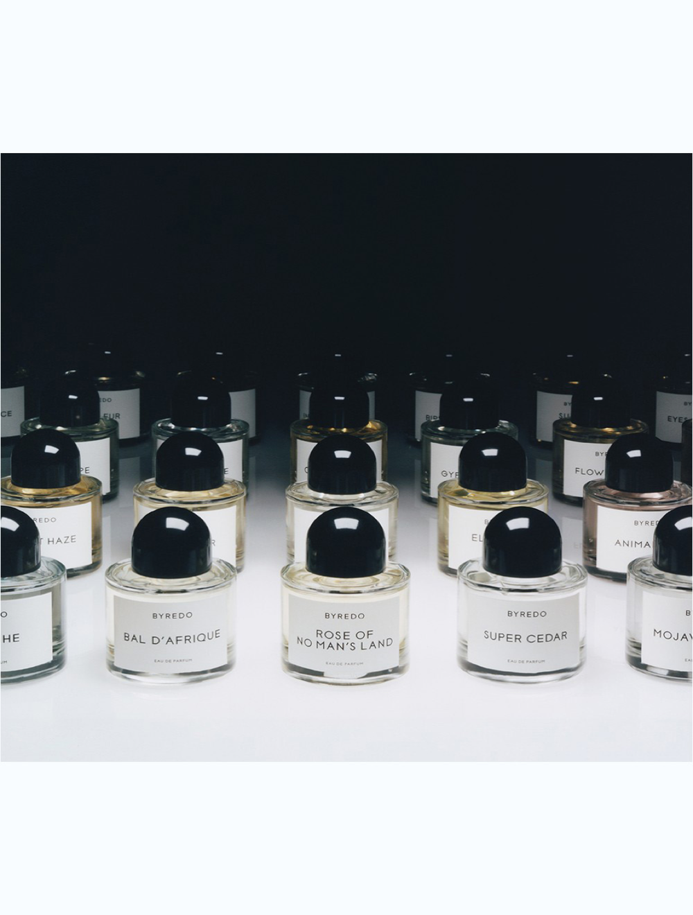 Mojave Ghost Eau de Parfum 100 ML