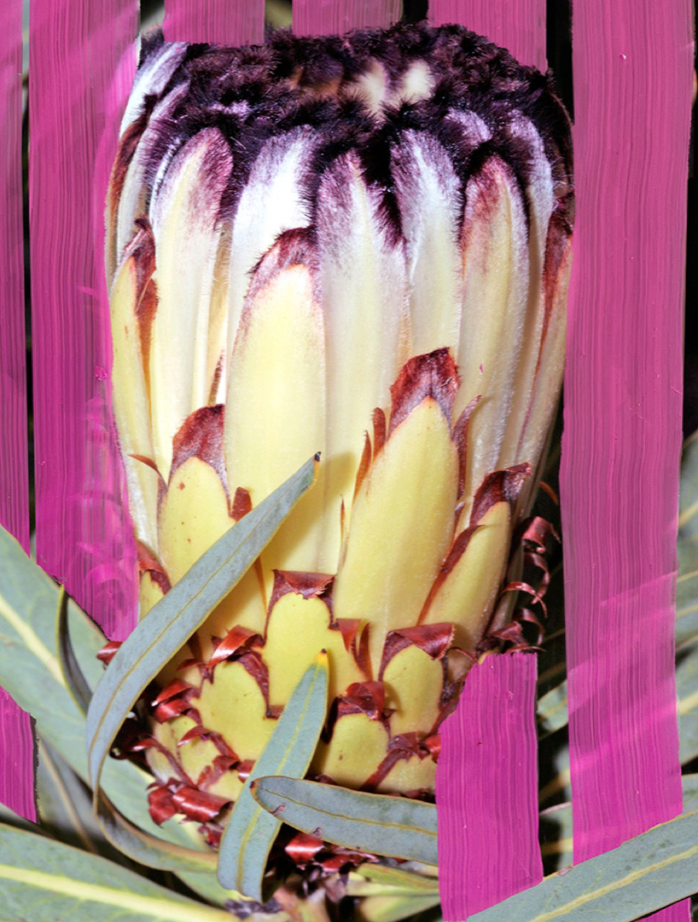 Inflorescence Eau de Parfum 100 ML