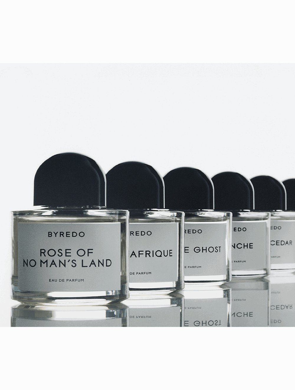 Animalique Eau de Parfum 100 ML