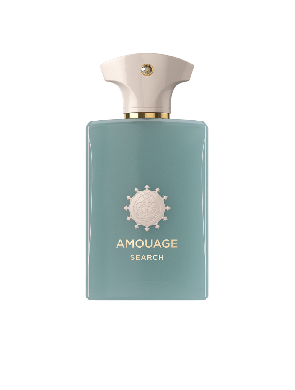 AMOUAGE SEARCH EDP 100ML