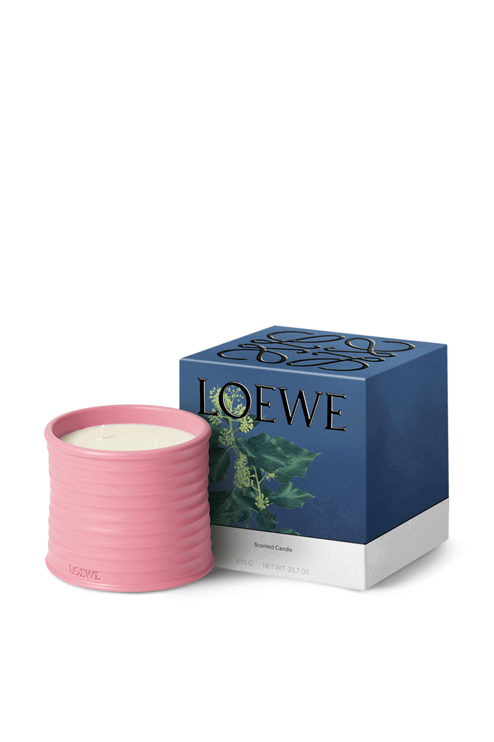 LOEWE Ivy Medium Scented Candle