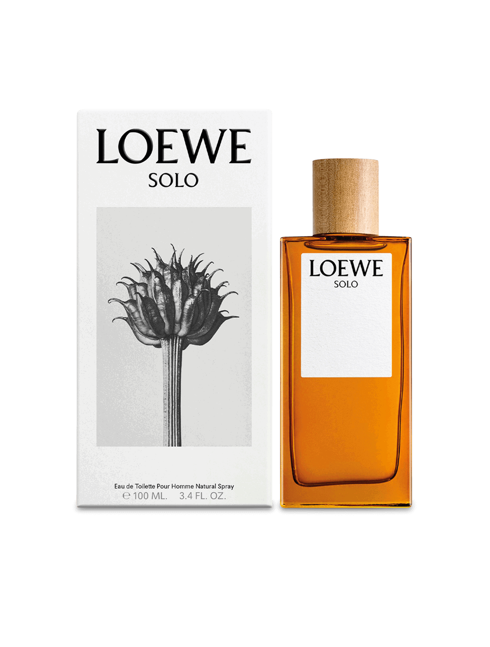 LOEWE Solo Eau de Toilette 100 ml
