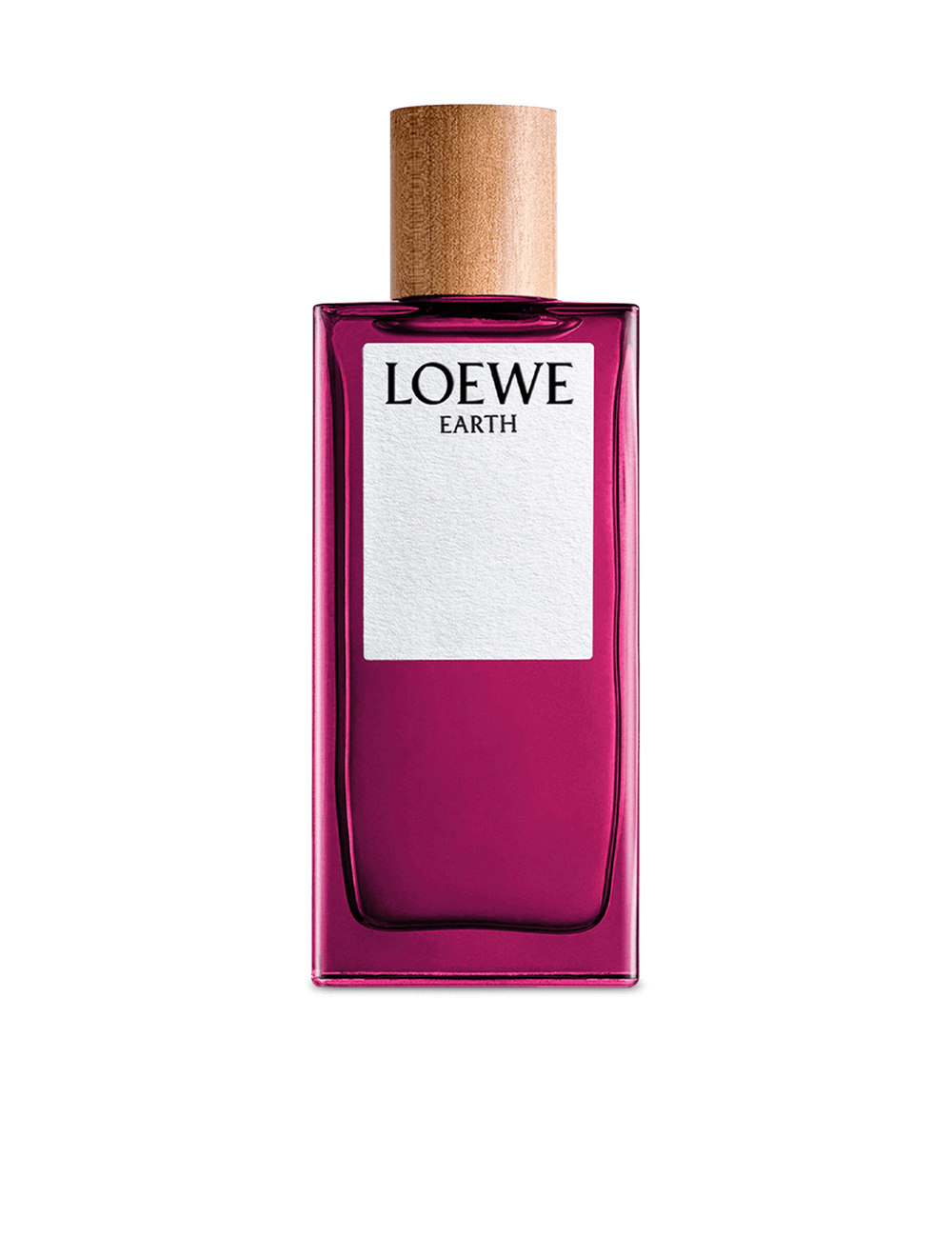 LOEWE Earth Eau de Parfum 100 ml