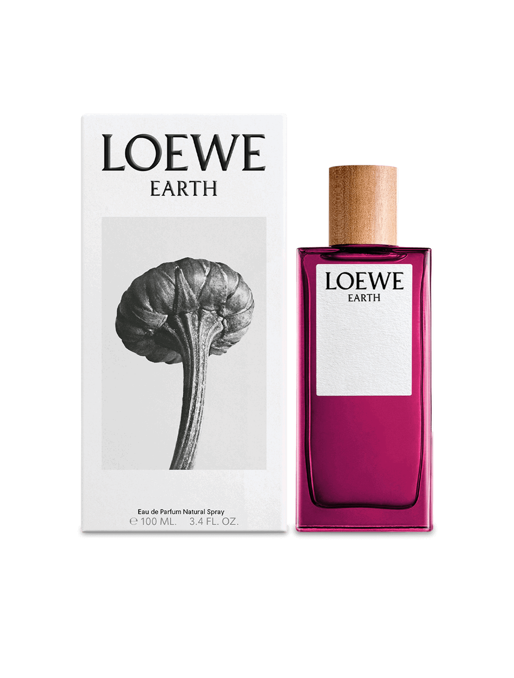 LOEWE Earth Eau de Parfum 100 ml