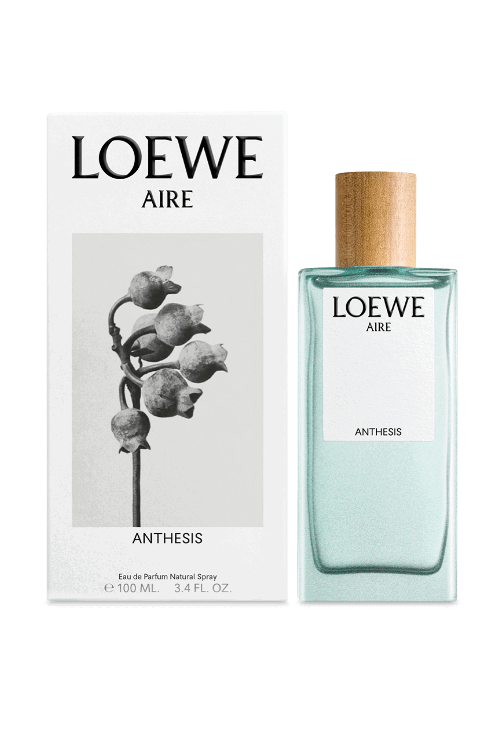 LOEWE  Aire Anthesis Eau de Parfum 100 ml