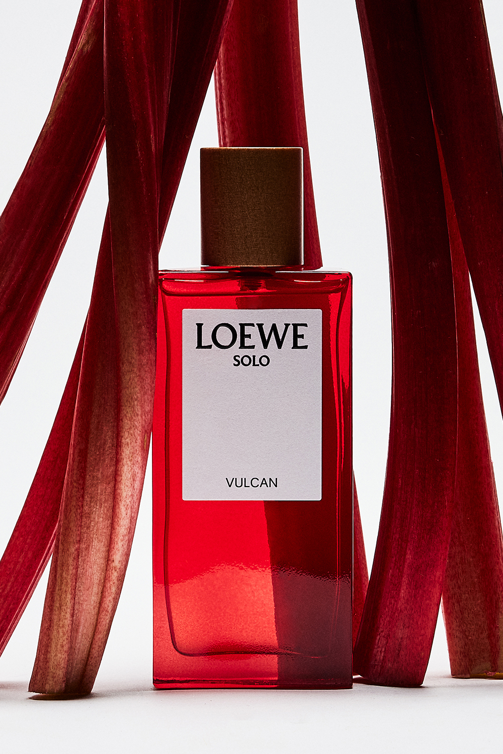 LOEWE Solo Vulcan Eau de Parfum 100 ml