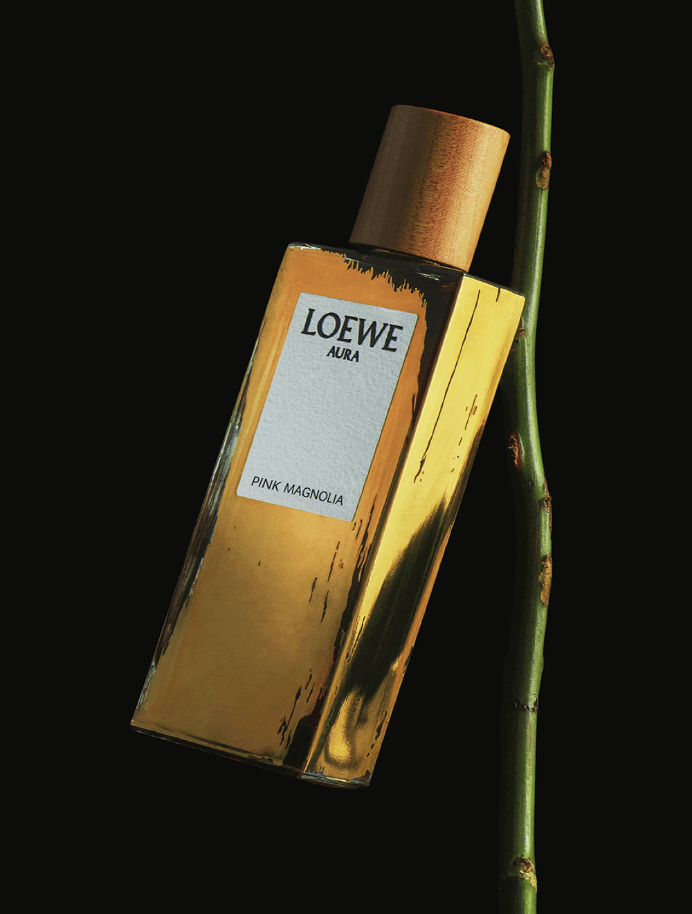 LOEWE Aura Pink Magnolia Eau de Parfum 30 ml