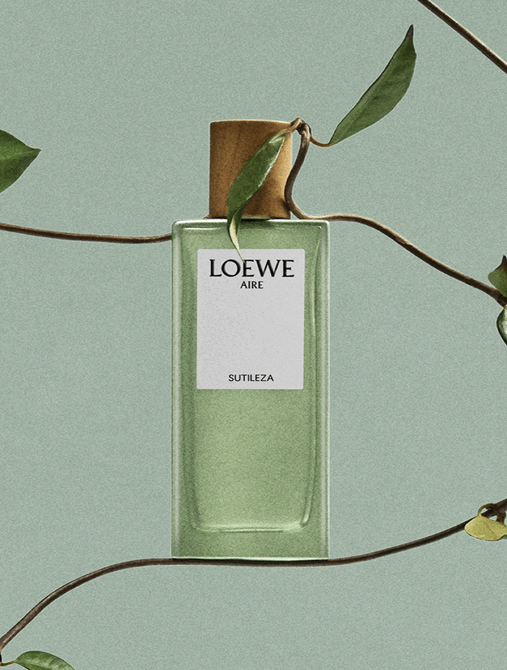 LOEWE Aire Sutileza Eau de Toilette 50 ml